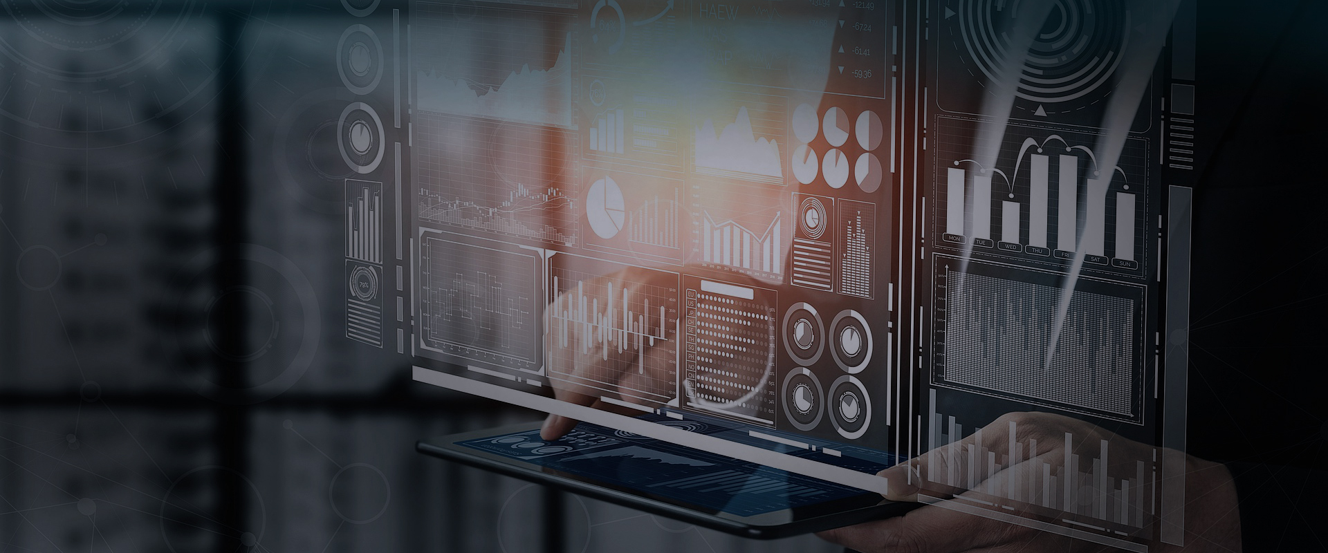 Intelligent Software